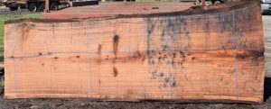 36179 Redwood Slab 143”x48”-42”x2 7/8” Feb 2025