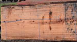 36179 Redwood Slab 143”x48”-42”x2 7/8” Feb 2025 - Image 2