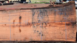 36179 Redwood Slab 143”x48”-42”x2 7/8” Feb 2025 - Image 3