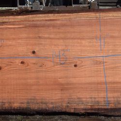 36183 Redwood Slab 143”x45”-40”x2 3/4” Feb 2025