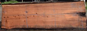 36183 Redwood Slab 143”x45”-40”x2 3/4” Feb 2025