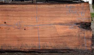 36183 Redwood Slab 143”x45”-40”x2 3/4” Feb 2025 - Image 2