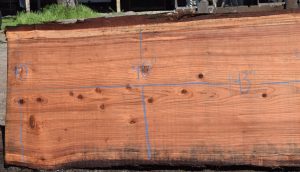 36183 Redwood Slab 143”x45”-40”x2 3/4” Feb 2025 - Image 3