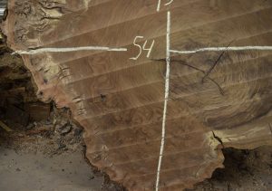 HROUND-160 Claro Walnut Burl Round 54”x45”x3” - Image 4