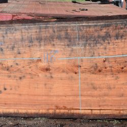 36180 Redwood Slab 143”x49”-41”x2 7/8” Feb 2025