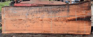 36180 Redwood Slab 143”x49”-41”x2 7/8” Feb 2025