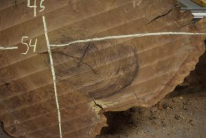 HROUND-160 Claro Walnut Burl Round 54”x45”x3” - Image 5