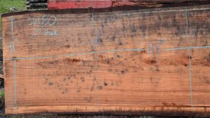 36180 Redwood Slab 143”x49”-41”x2 7/8” Feb 2025 - Image 2