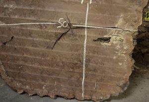 HROUND-159 Claro Walnut Burl Round 50”x49”x2 5/8” - Image 2