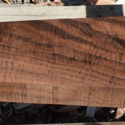 HHC-719 Claro Walnut Rifle Gunstock Blank