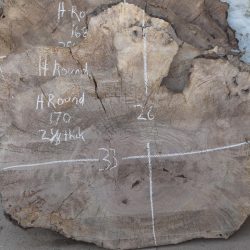 HROUND-170 Bastogne Walnut Burl Round Cookie Slab