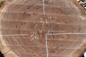 HROUND-142 Claro Walnut Round Slab 36”x31”x3” - Image 2