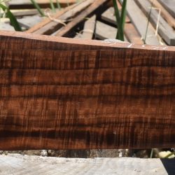 HHC-681 Exhibition Claro Walnut Rifle Gunstock Blank