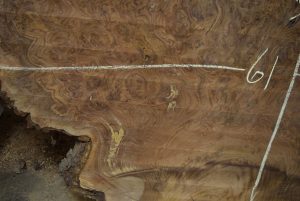 HWBS-73 Claro Walnut Burl Slab 61”x53”x2 1/4” - Image 3
