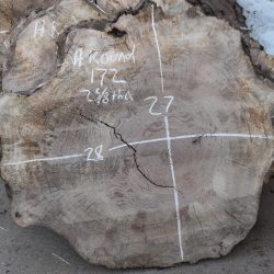 HROUND-172 Bastogne Walnut Burl Round Cookie Slab