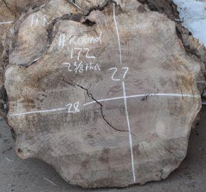 HROUND-172 Bastogne Walnut Burl Round Cookie Slab