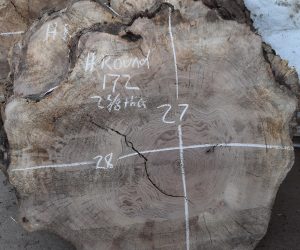 HROUND-172 Bastogne Walnut Burl Round Cookie Slab - Image 2