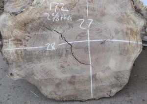HROUND-172 Bastogne Walnut Burl Round Cookie Slab - Image 3