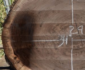 HROUND-144 Claro Walnut Round Slab 34”x29”x3” - Image 4