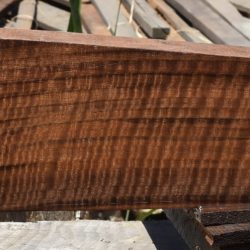 HHC-684 Exhibition Claro Walnut Rifle Gunstock Blank