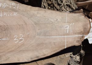 HROUND-151 English Walnut Slab 33”x15”-9”x2 1/4” - Image 3