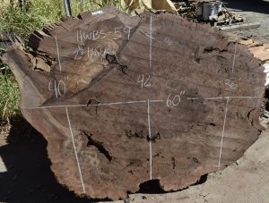 HWBS-54 Claro Walnut Burl Slab 60”x42”-36”x2 1/8”