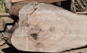 HROUND-152 English Walnut Slab 28”x15”-10”x2 1/2” - Image 2