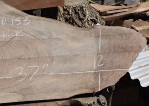 HROUND-153 English Walnut Slab 37”x19”-11”x2 3/8” - Image 3