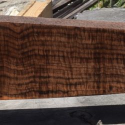 HHC-663 Exhibition Claro Walnut Rifle Gunstock Blank