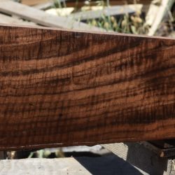 HHC-689 Exhibition Claro Walnut Rifle Gunstock Blank