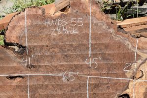 HWBS-55 Claro Walnut Burl Slab 65”x45”-29”x 2 1/8” One of a Kind - Image 3