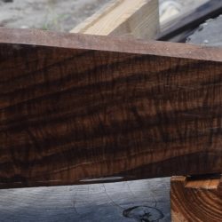 HHC-664 Exhibition Claro Walnut Rifle Gunstock Blank