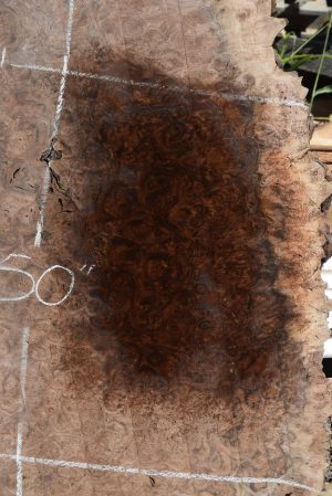 HWBS-57 Claro Walnut Burl Slab 50”x40”-34”x 2 1/8” One of a Kind - Image 6