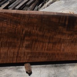 HHC-665 Exhibition Claro Walnut Rifle Gunstock Blank