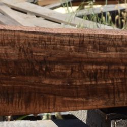 HHC-691 Exhibition Claro Walnut Rifle Gunstock Blank