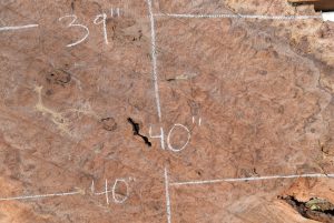 HWBS-58 Claro Walnut Burl Slab 40”x40”-39”x2 1/8” One of a Kind - Image 4