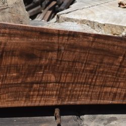 HHC-666 Exhibition Claro Walnut Rifle Gunstock Blank