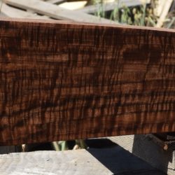 HHC-692 Exhibition Claro Walnut Rifle Gunstock Blank