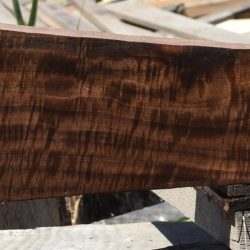 HHC-693 Exhibition Claro Walnut Rifle Gunstock Blank