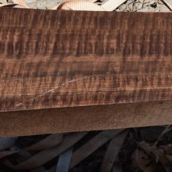 HHC-695 Exhibition Claro Walnut Rifle Gunstock Blank