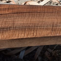 HHC-696 Exhibition Claro Walnut Rifle Gunstock Blank