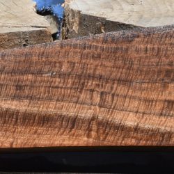 HHC-710 Hunski Select Claro Walnut Rifle Gunstock Blank