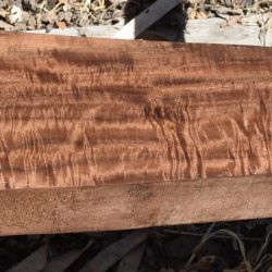 HHC-723 Claro Walnut Rifle Gunstock Blank