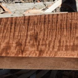 HHC-729 Exhibition Claro Walnut Rifle Gunstock Blank