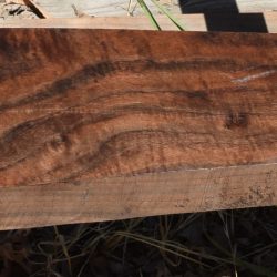 HHC-734 Claro Walnut Rifle Gunstock Blank