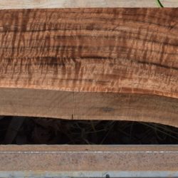 HHC-735 Exhibition Claro Walnut Rifle Gunstock Blank