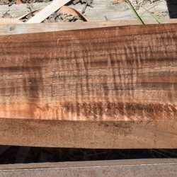 HHC-737 Claro Walnut Rifle Gunstock Blank