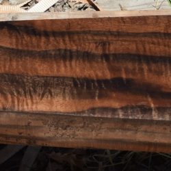 HHC-738 Claro Walnut Rifle Gunstock Blank