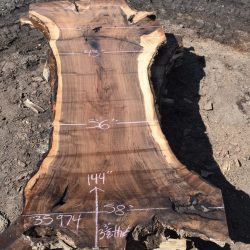 35974 Large Grafted English Claro Orchard Slab 144”x58”-36”x3 3/8”