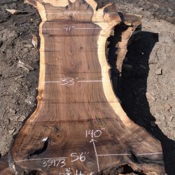 35973 Large Grafted English Claro Orchard Slab 140”x56”-33”x3 3/8